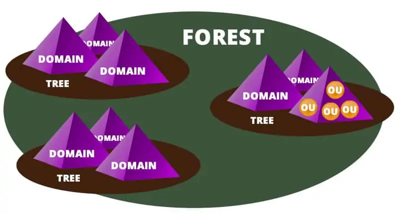 forest-map.webp